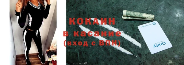 хмурый Белокуриха