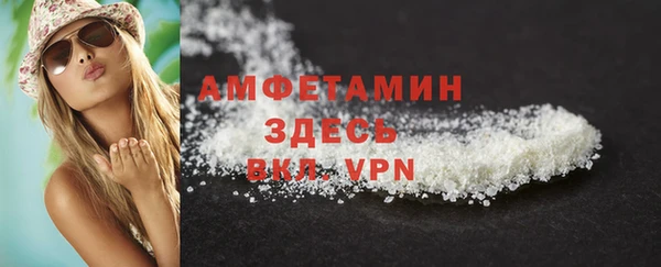 хмурый Белокуриха