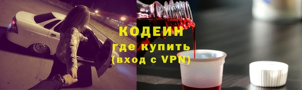 хмурый Белокуриха