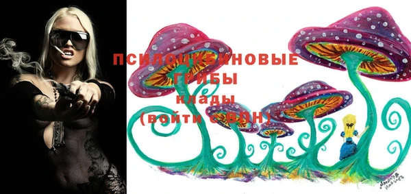соль ск Белоозёрский