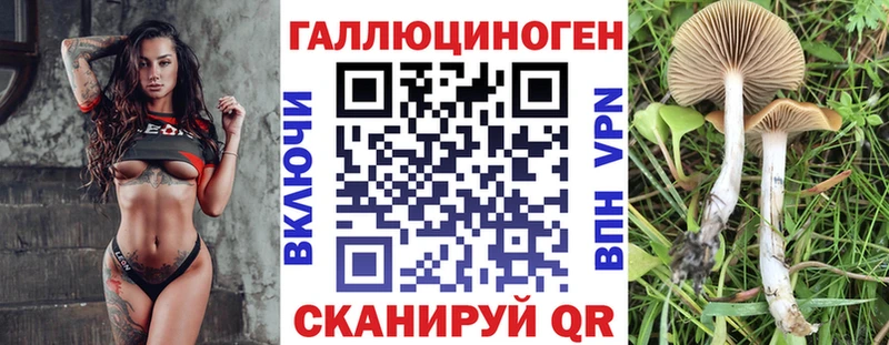 Купить  Орёл  Псилоцибиновые грибы Psilocybine cubensis 
